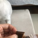 강아지잔칫집 이미지