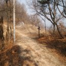 서구-01-10 이미지