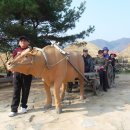 (주)여행담