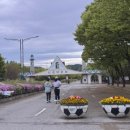 너나들이캠핑장매점 이미지