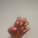 렌즈미해운대점 | W. 웨딩촬영 준비 물품(feat, 해운대 모네스튜디오)