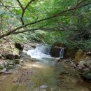 섬진강문화학교 독도사진전시관 | 🌊 전남 곡성 수영장 캠핑장 BEST 4 🏕️ 여름 물놀이 끝판왕 추천!
