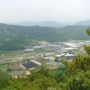 금강모치마을 이미지