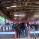 국도 | [미국 하와이] 다섯째 날, 83번 국도 최고야, 쿠알로아랜치 승마 후기