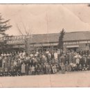 영덕초등학교 이미지