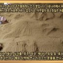 효소방 네이버블로그