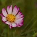 황산공원(황산C) 이미지