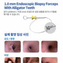 위케어동물의료센터 이미지