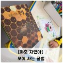 꿀벌과자연 이미지