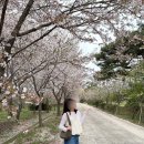 아담원 | [남원] 고즈넉한 숲속 힐링 스팟 '아담원' 솔직 후기 (ft. 주말 산책 코스)