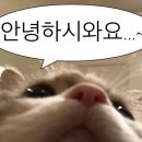 카페 NSW 이미지
