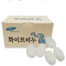 재우기획