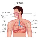 웰니스헬스 제이필라테스 요기요가 이미지