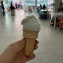 푸켓 자유여행 시밀란섬 투어 추천ㅣ씨스타 카타마란 요트로 다녀온 리얼 후기