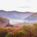 비밀의 정원 이미지