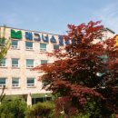 매그너스요양병원 이미지