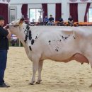 경진목장 이미지