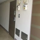 팔달초등 이미지