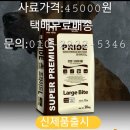 경북펫&푸드
