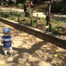 경태민박 이미지