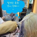 류정혜미용실