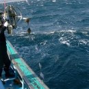 하늘빛소나무펜션 이미지