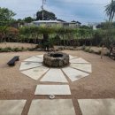 퐁낭아래 이미지