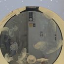 아쿠아가든카페 - 양주시 천보산로5번길 3 | 은평 롯데몰 카페 추천! 아쿠아가든카페 물고기 멍 후기