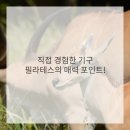 몸사랑필라테스