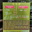 소천지 | 제주여행 숨은 명소 외돌개와 소천지