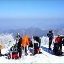 남덕유산 서봉 비박 이미지