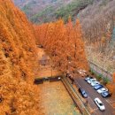 시청사거리 이미지