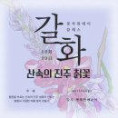 눈썸네일