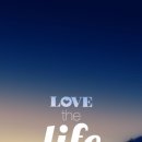 대가무역 이미지