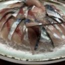 모슬포수산식당