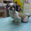 한얼동물병원 이미지