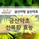 도경약초