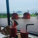 와이쉼표 이미지