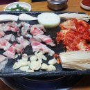 대패매니아