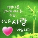 프로바 이미지