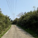 동광리-3 이미지