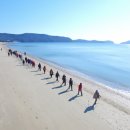 신지명사십리해수욕장 이미지