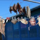 외연도2 이미지