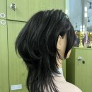하이.미헤어 이미지