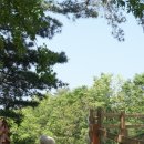 송림목장 이미지