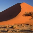 나미브(NAMIB)