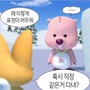 바론 | 필리핀 보홀 스쿠버다이빙 바론다이브 펀다이빙 후기 (+총 경비)