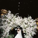 제일그린 | W11. 대전 그린아일 스튜디오 본식 촬영후기