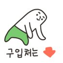 홍봉투어