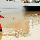 송정지하 이미지